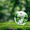 Our Sustainability Journey