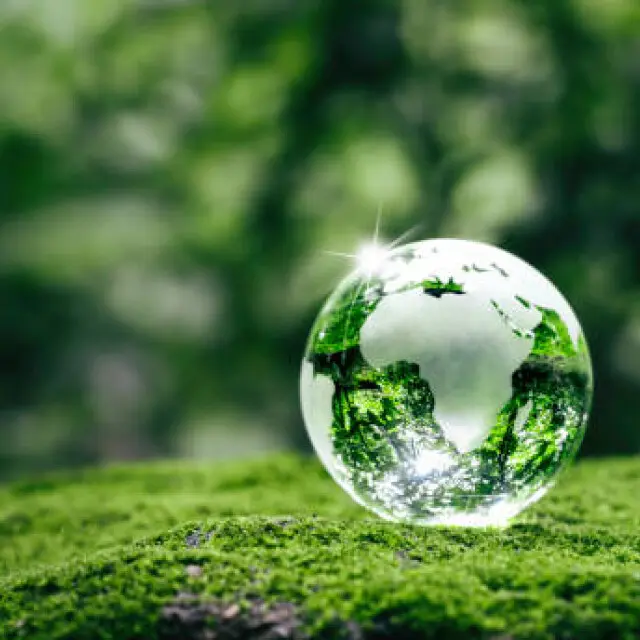 Our Sustainability Journey